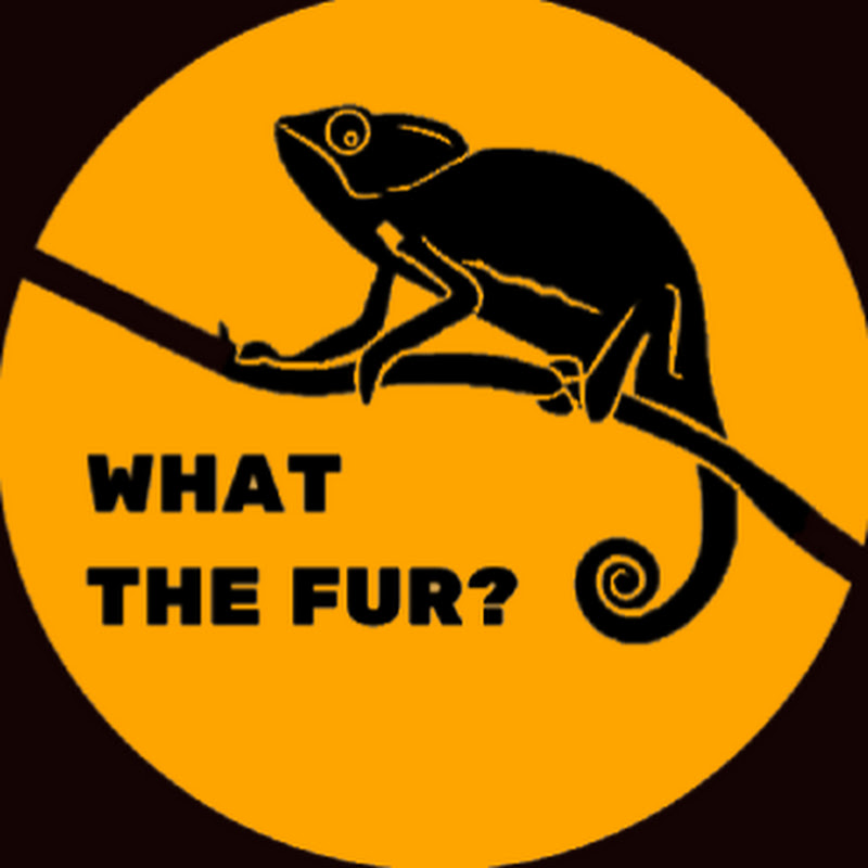 What The Fur?