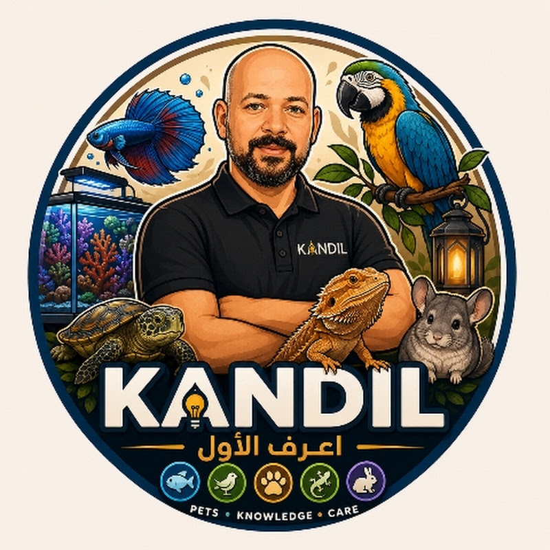 KANDIL | Pets & Aquariums