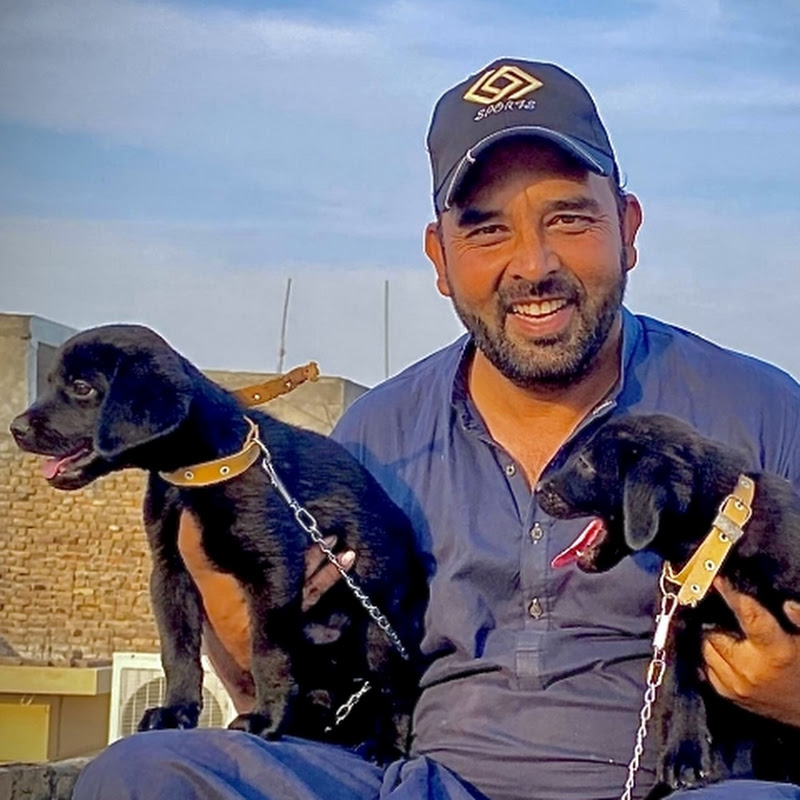 HQ Pets Vlog