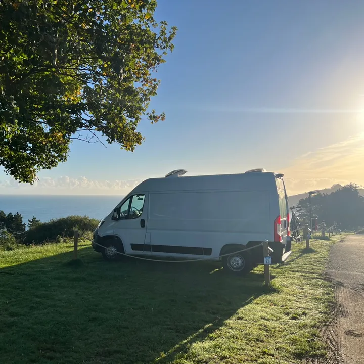 Petal the van