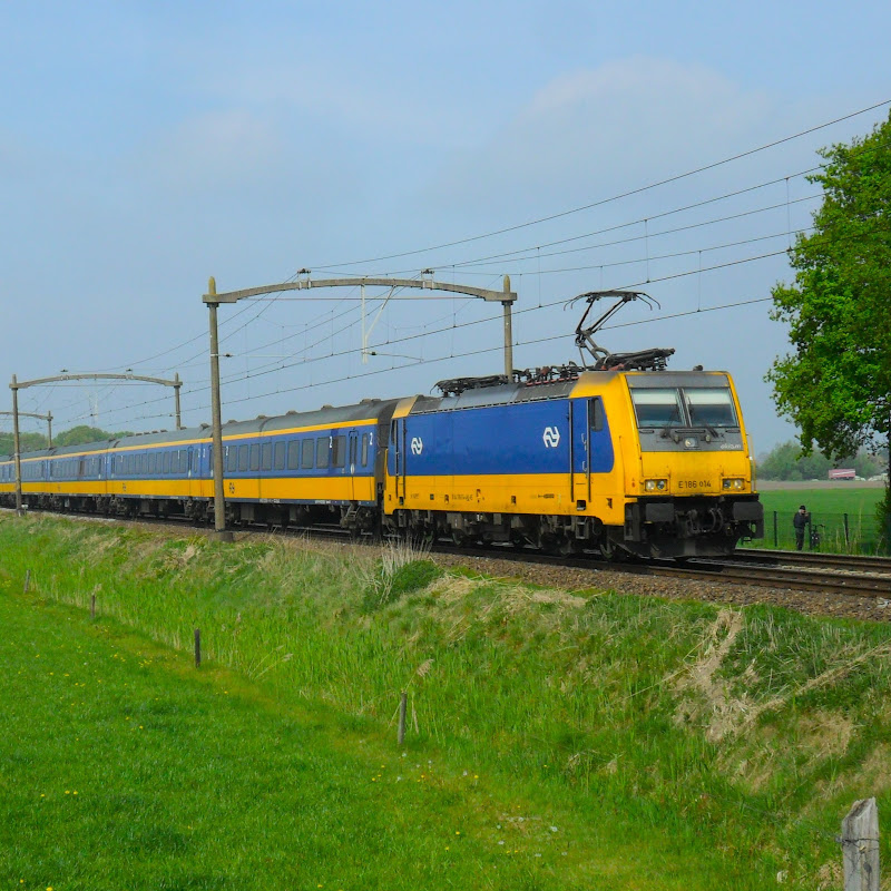 Reeshof Treinspotter