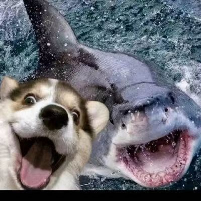 笑哥 · 链动Web3学院