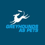 Greyhound As Pets