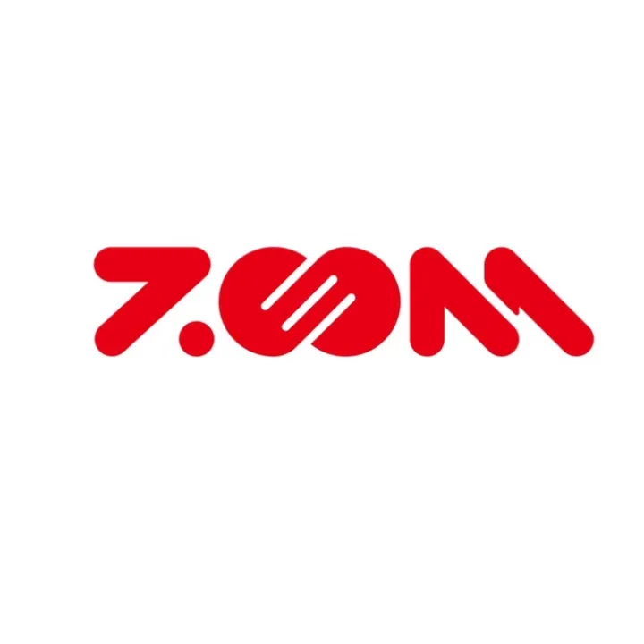 Zoom Toys
