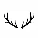 Four Elks |  Outdoors