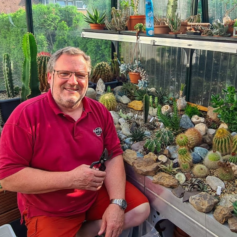 Cactus Joe