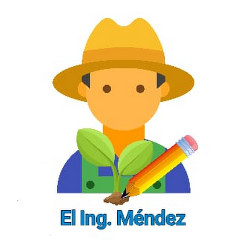 El Ing. Méndez