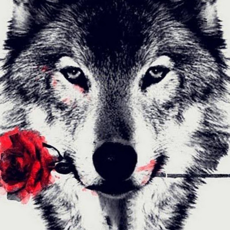 John Kennedy (Kenna)