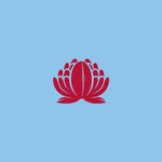 NSW Waratahs