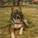 ＰＥＬＵＳＡ 🍀