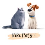 Pets Animals TOP Funny