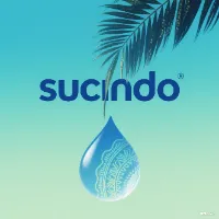 Sucindo