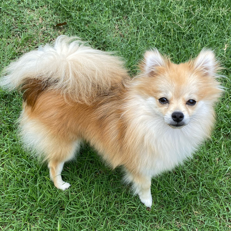 Willow & Flash