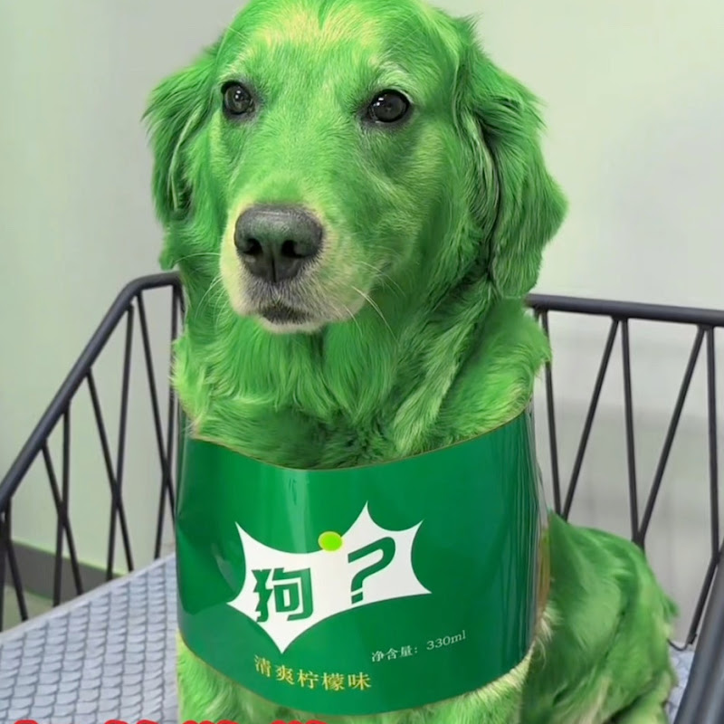千秋网红研究故事圏儿