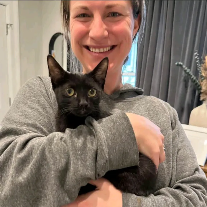 cat_hub_resc