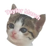 𝖳𝖺𝗒𝗅𝗈𝗋 𝖬𝖺𝗋𝖼𝗁