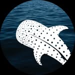 Gorontalo Dive Center