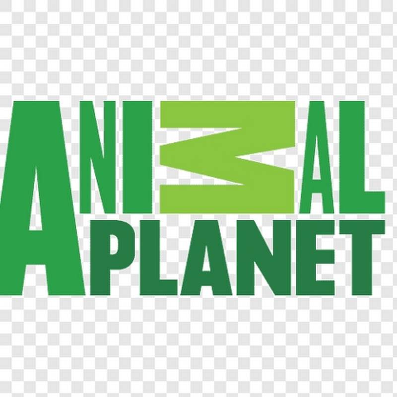 ANIMAL.PLANET1