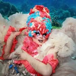 Adam Spjuth - Imaa Queen