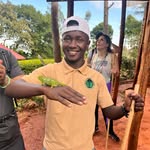 Hallansipifallsug +256762692323