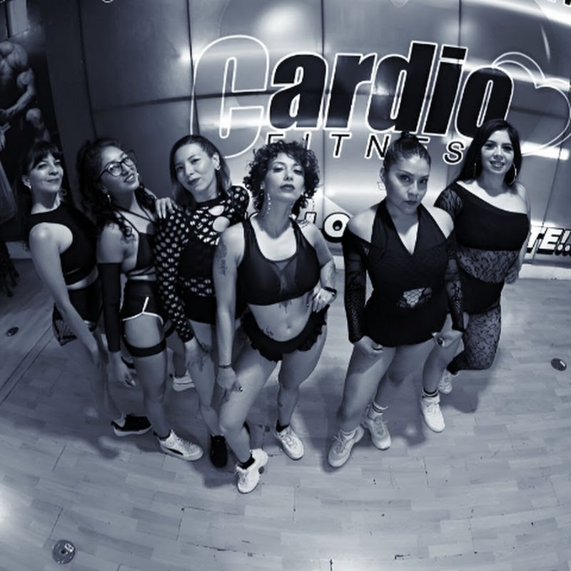 TWERK BOOTYFIT México