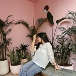 ⋆✴︎˚｡⋆  the blog couture
