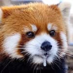 边边的玩具小屋