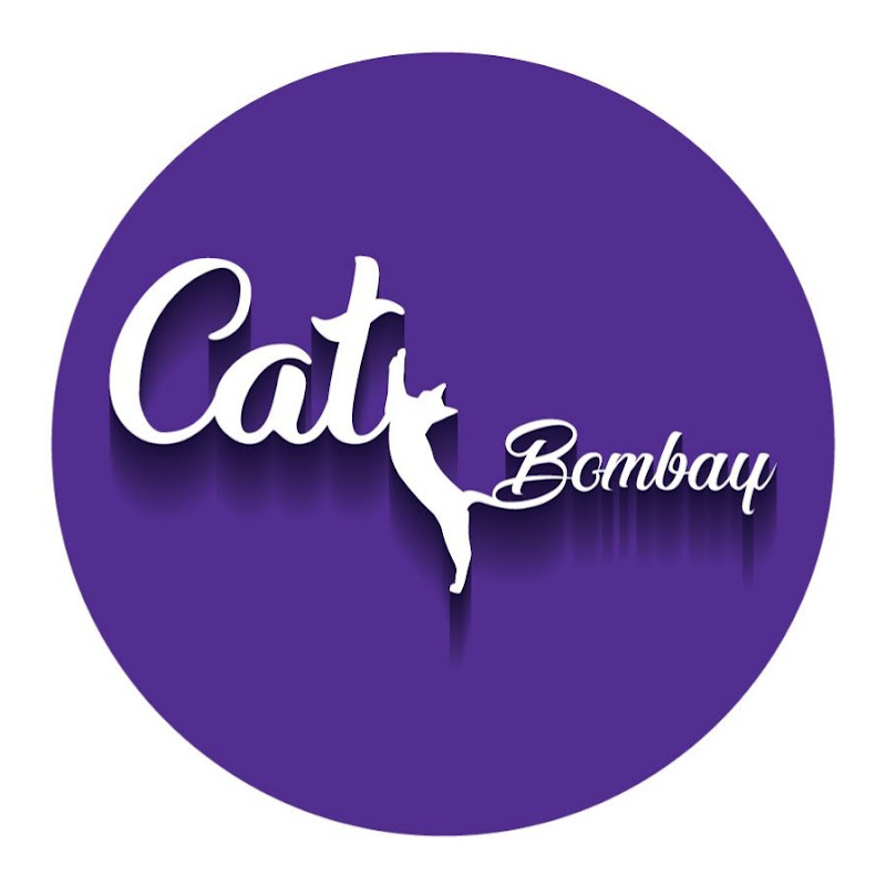 Cat Bombay