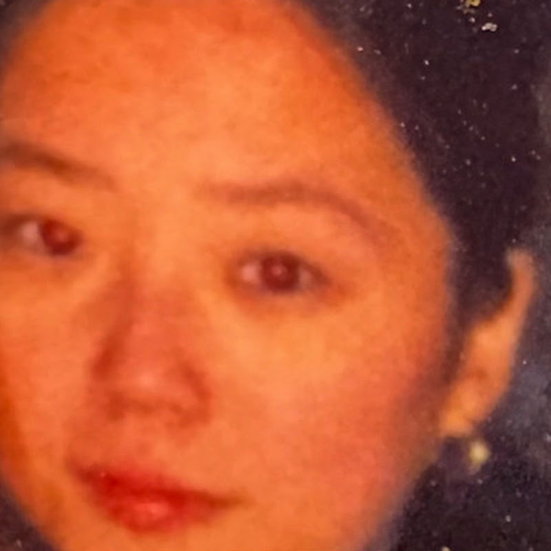 국민심장유튜브sunmeecho