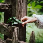 🌿 Oksana