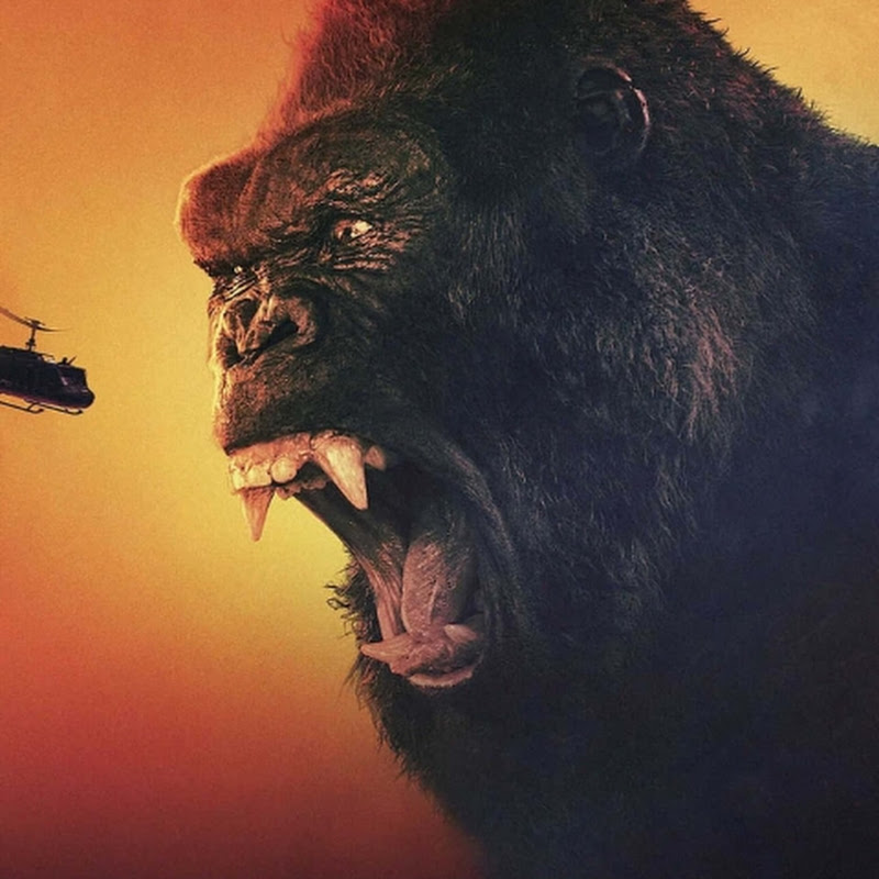 THE REAL KONG