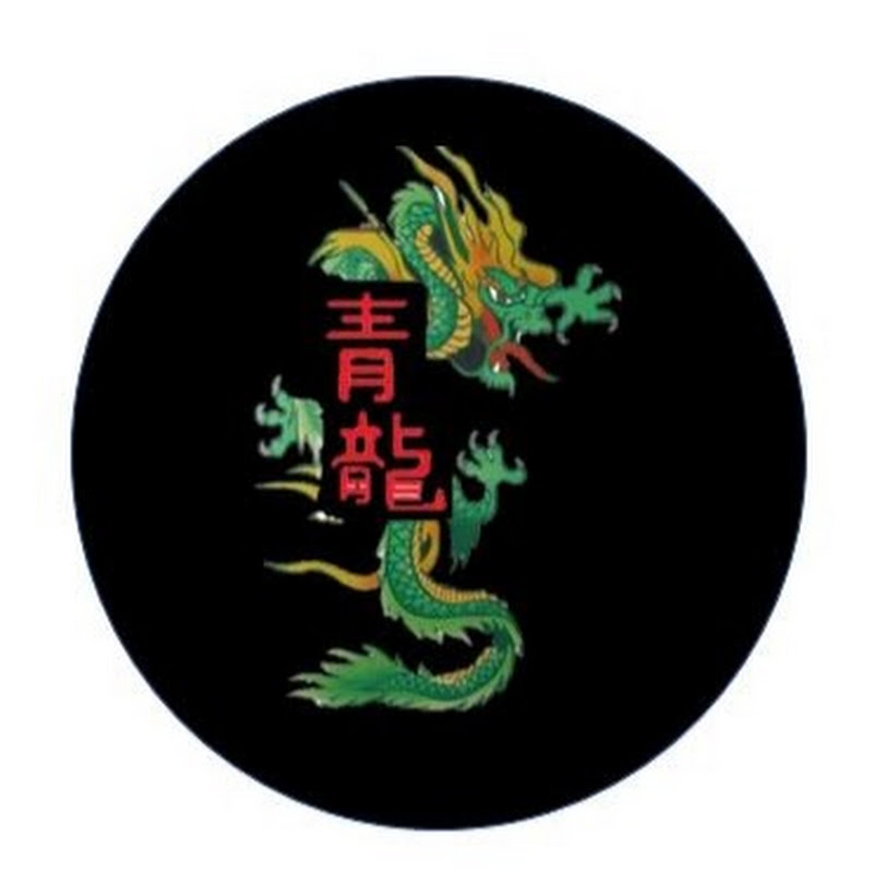 Enter The Green Dragon Kung Fu