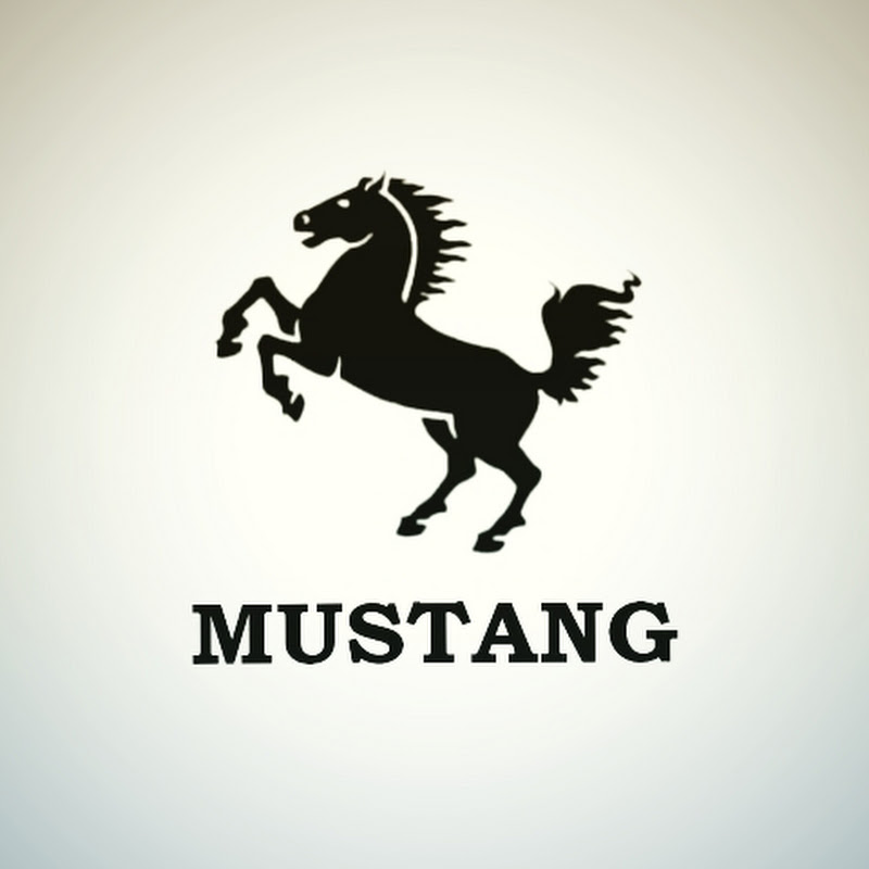 MUSTANG GRANULYATOR VA DROBILKALAR OLAMI