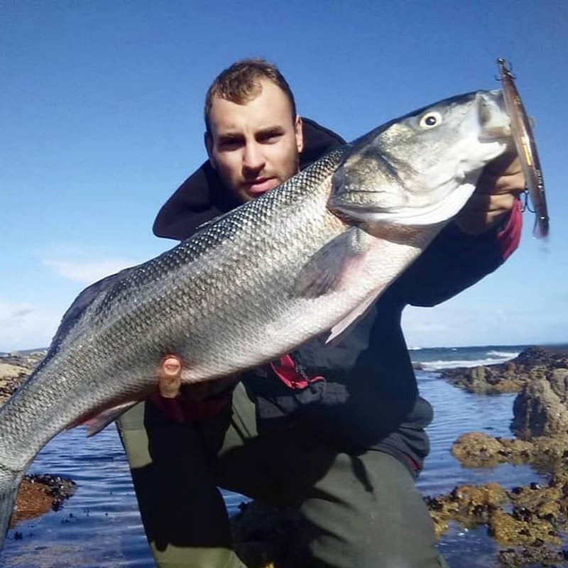 Mar De Robalo