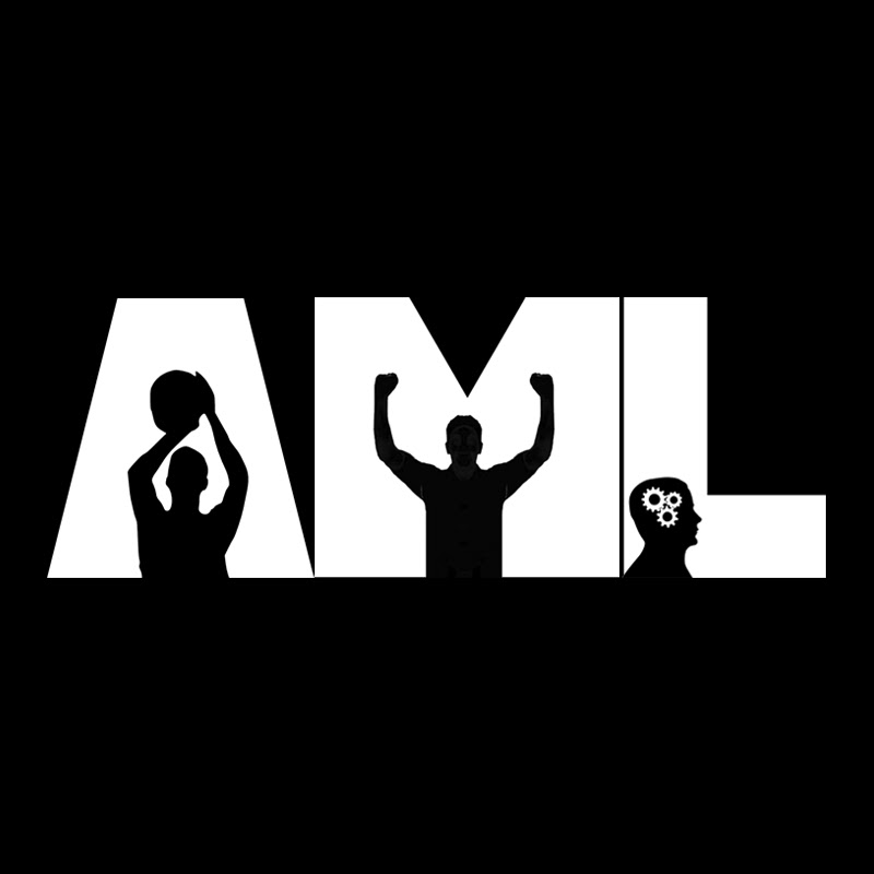 AML Media