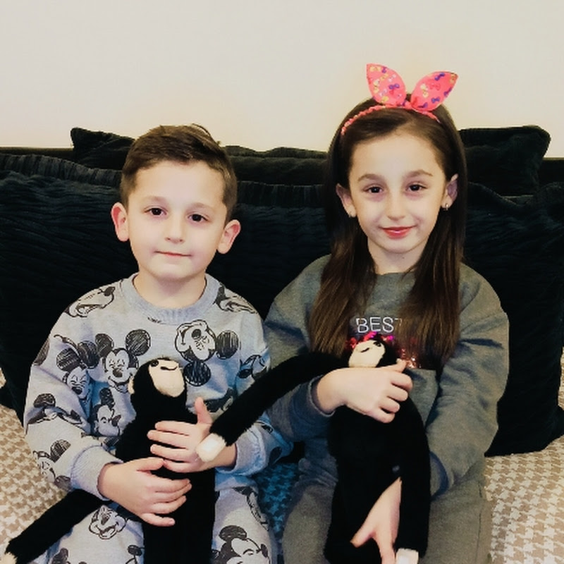 MASAL VE KUZEY