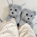 ℳℯℯ𝓈𝒽𝒶𝓁 𝜗𝜚˚⋆