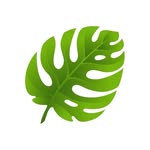 Plants and gardening