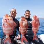 Ruiz González. David y Rafael