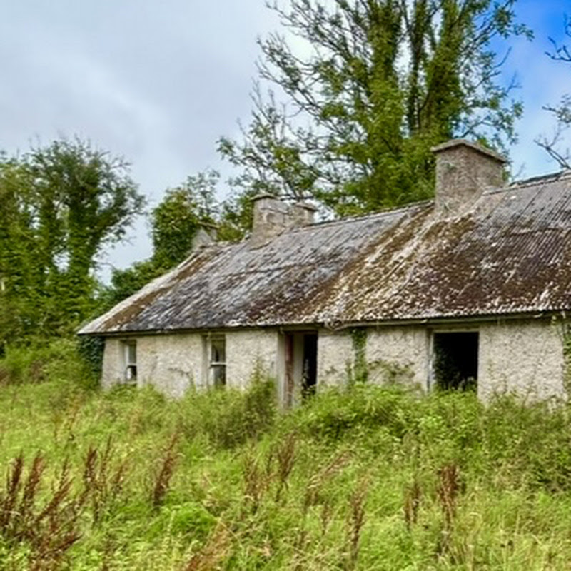 Our Irish Cottage & Homestead Garden  