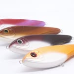 FishEco