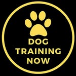 dog.training.now