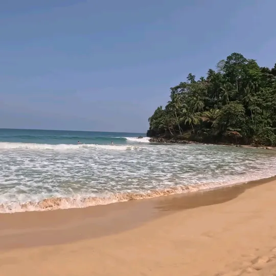 万寿