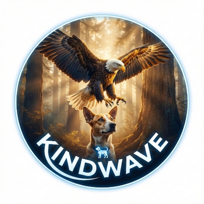 KINDWAVE🦅🐾