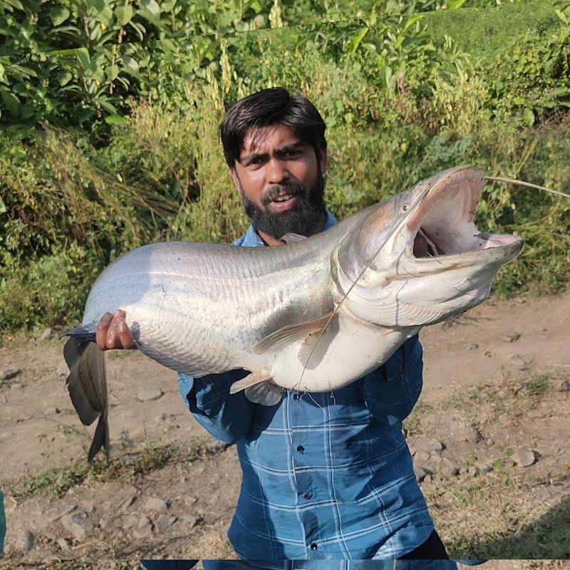 Angler Master