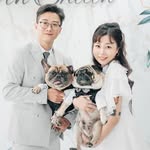 巴哥艾倫Allen👶🏿