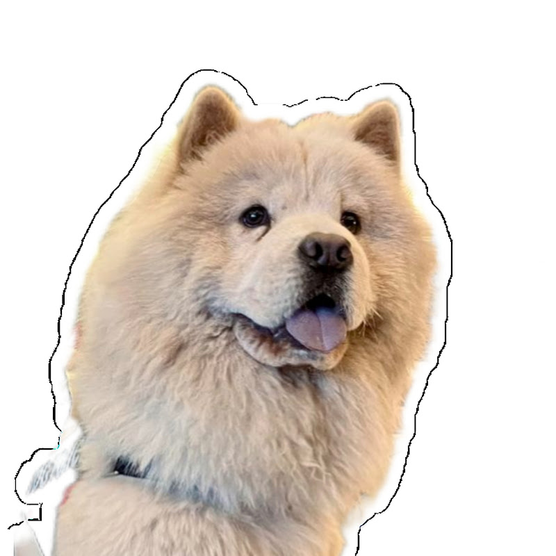 chowchow_style