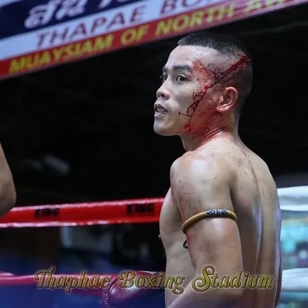 martial arts news