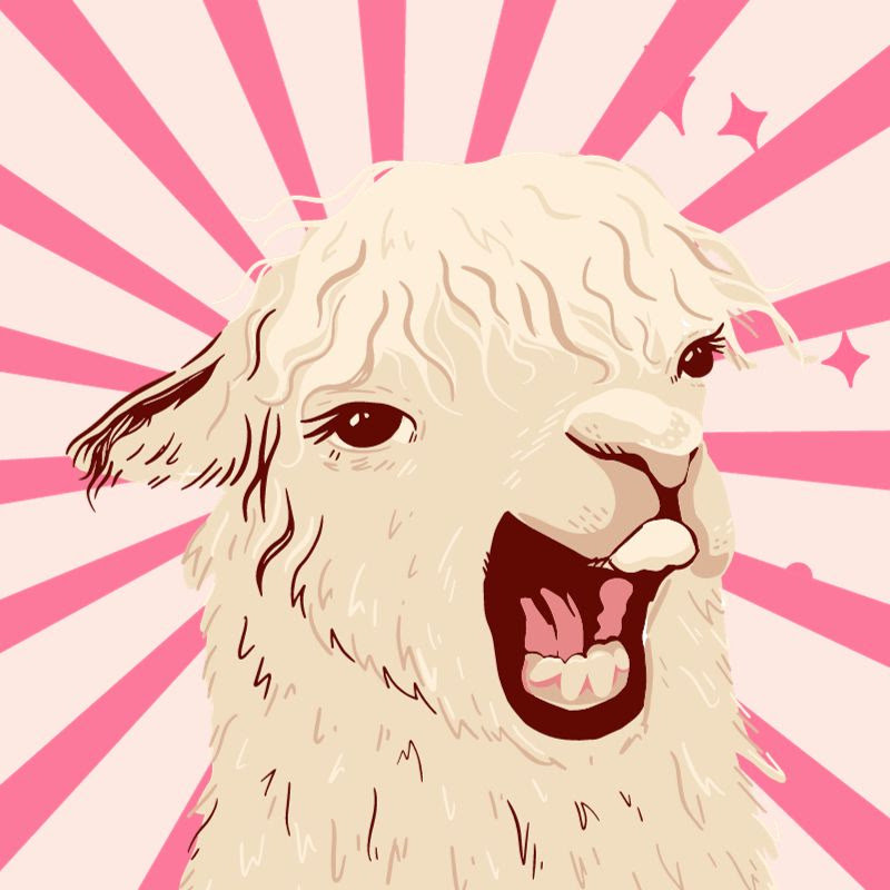 Llama Drama