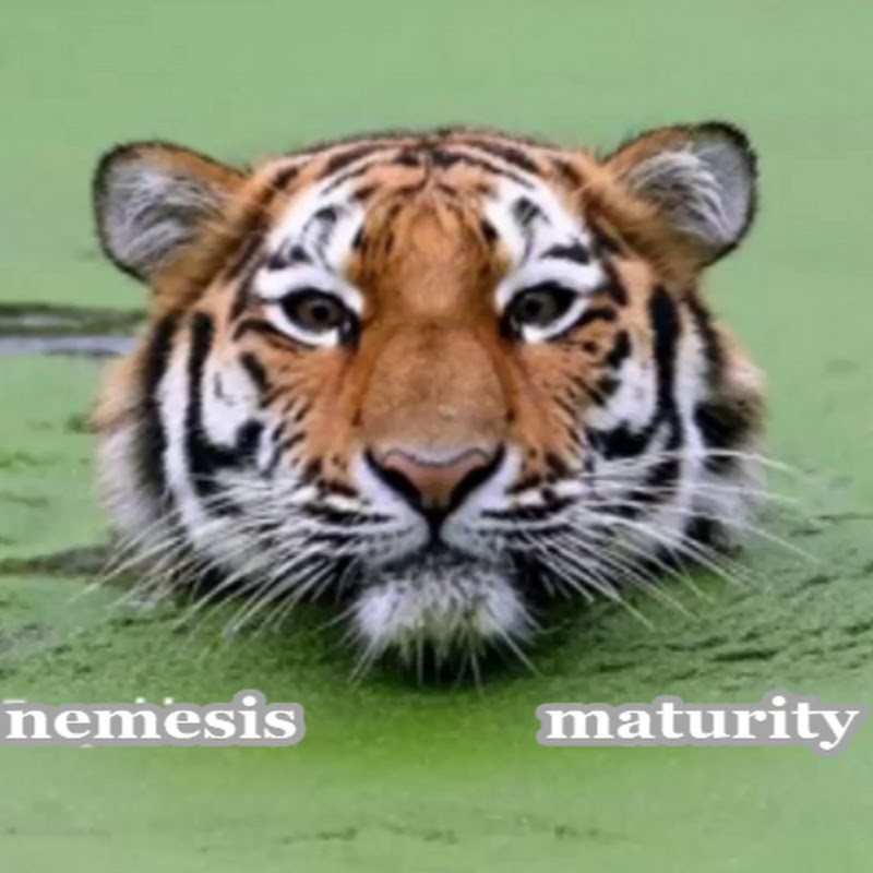 nemesis maturity